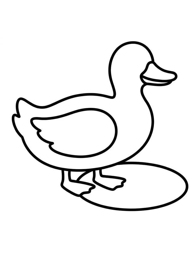 Duck coloring page with a rounded duck beside a small puddle.